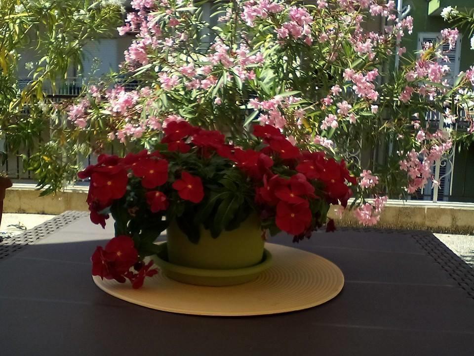 Apartament Il Terrazzo Di Oleandri Bagheria Pokój zdjęcie