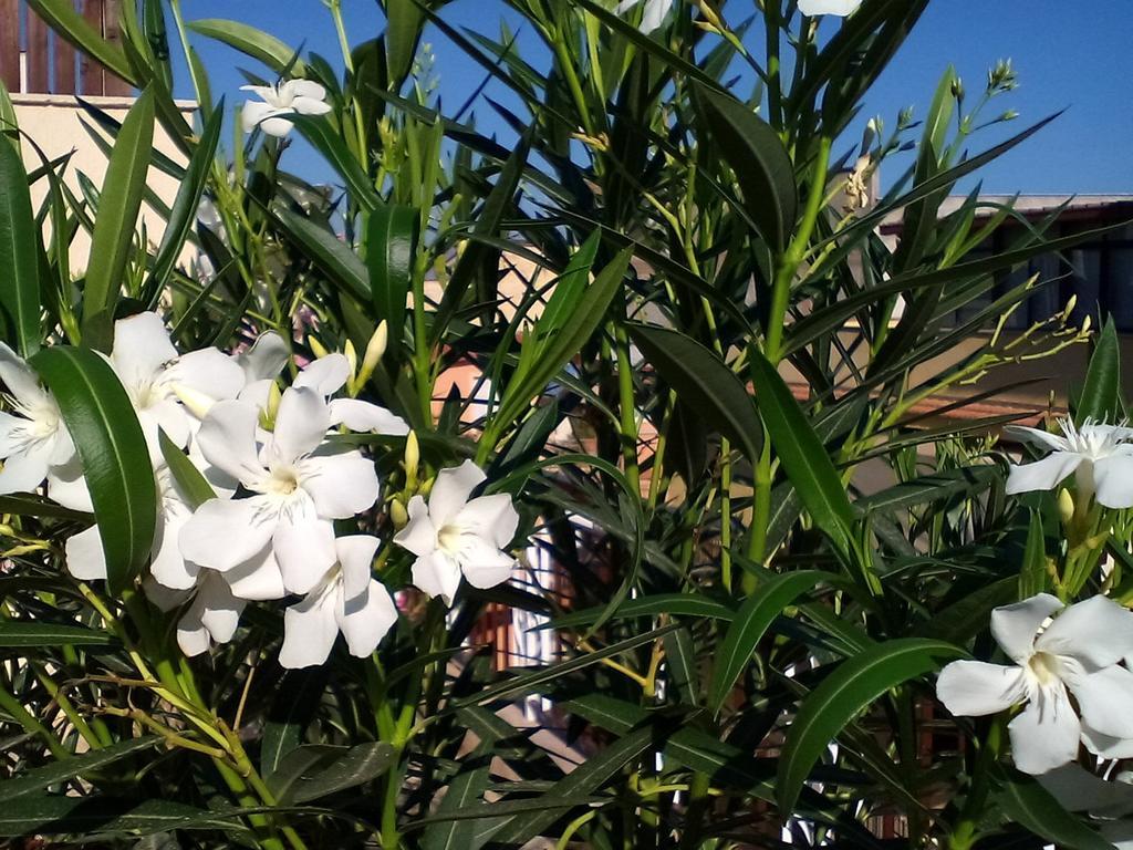 Apartament Il Terrazzo Di Oleandri Bagheria Pokój zdjęcie
